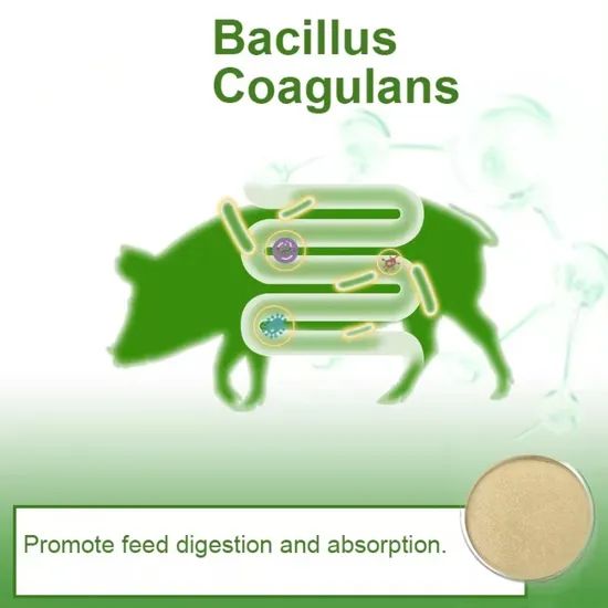 Effective Microorganisms Probiotics Bacillus Coagulans Powder - Image 6