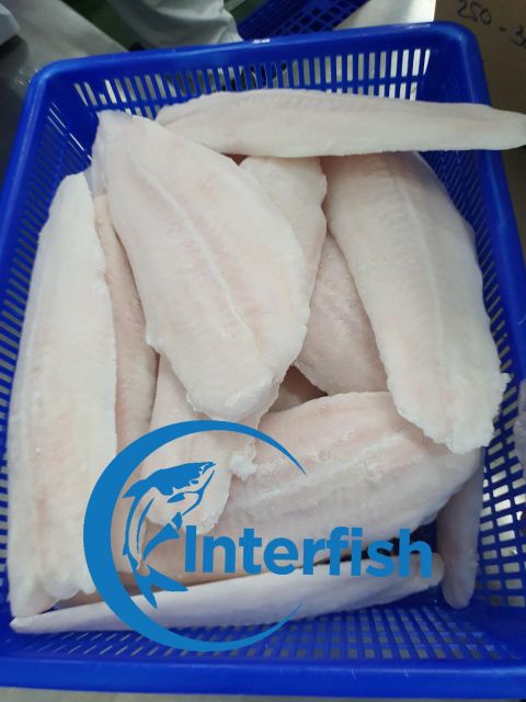 Seafood & Aquatic Products - Image 1