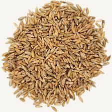 Premium Quality Rye Grain – Natural Whole Grain for Food & Feed Use - Image 1