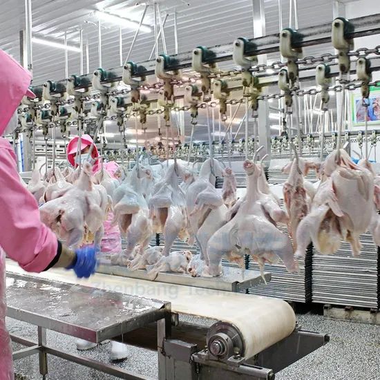 100bph to 13000bph Abattoir Meat Processing Machine Slaughtering Chicken Quail Rabbit Animal Poultry Killing Slaughter Chicken Plucker Machine - Image 6