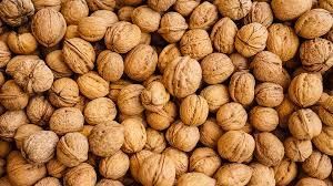 Bulk Walnuts for Export-High Qualiy and Affordable price Size 28-36mm Grade premium Type In Shell Certification ISO Max. Moisture (%) - Image 3