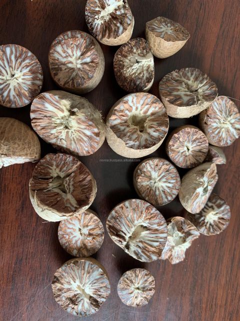 NS Vina Vietnam Competitive Price Good Quality Supari Betel Nut Areca Nut - Image 5