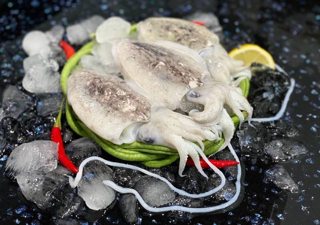Frozen Cuttlefish (Whole/Gutted, sliced and skinless) - Seafood - Image 2
