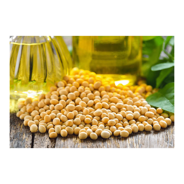 Premium Refined Soybean Oil available in bulk wholesale purchase affordable rates quick shipment - Image 4