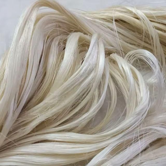 Sisal Fiber 90~130CM for Spinning / Plaster / Gypsum / Building Material - Image 2