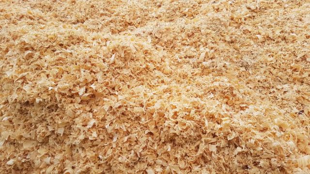 PINE WOOD SHAVINGS FOR ANIMAL BEDDING & SAWDUST - Image 3