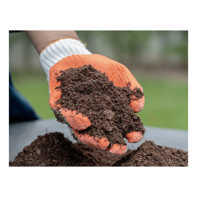 Peat moss wholesale supply for exporters and distributors worldwide Peat moss offered at factory discount - Image 3