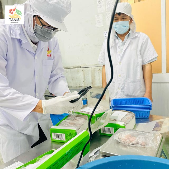 HOT SALE!! EU Standard Fresh & Frozen Frog Legs original price origin Vietnam – product photo 5, product detail gallery
