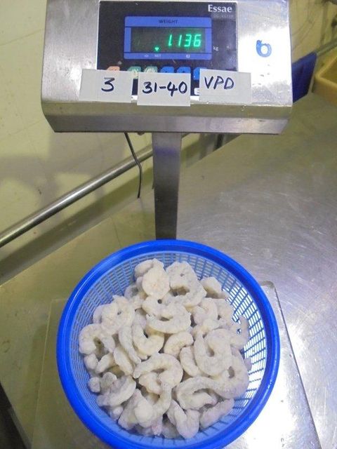 FROZEN RAW PEELED AND DEVEINED TAIL OFF(PD) VANNAMEI WHITE SHRIMP - Image 4