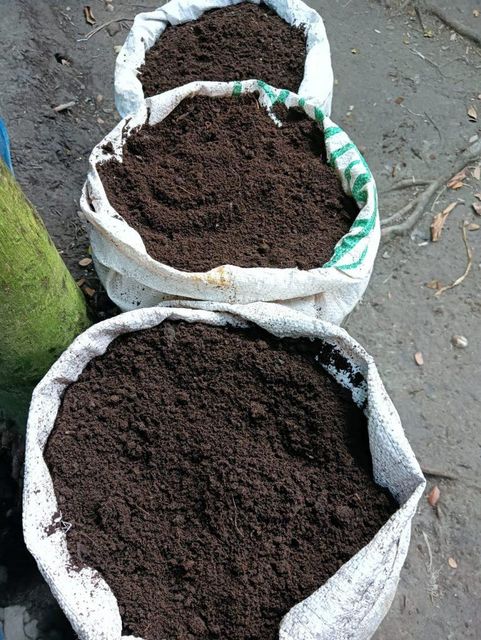 Cow dung products - Image 3