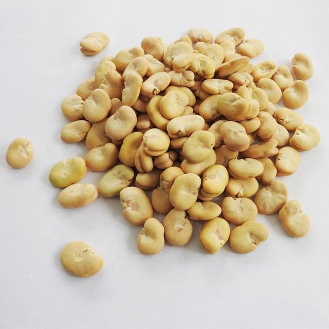 Peeled whole Broad Beans Peeled By hand wholesale - Image 3