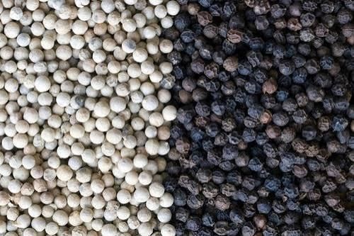 Black/white Pepper 550Gl/ 500Gl Black Pepper Grade AA Place of Origin - Image 2