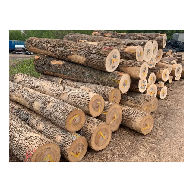 Premium European Ash Wood Logs – Fresh Cut / Kiln Dried Hardwood - Image 1