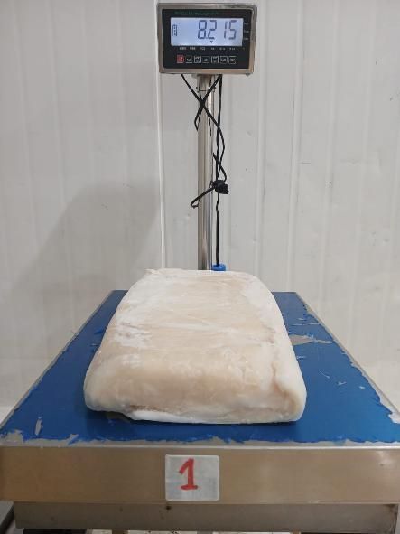 Frozen Giant squid fillet - Image 1