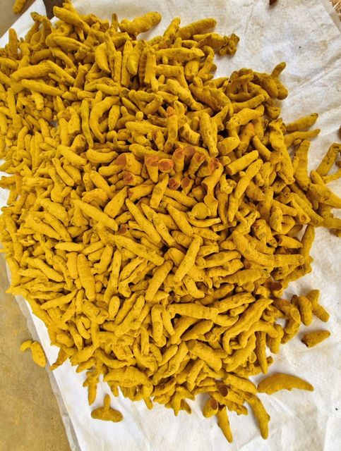 Cummins seeds coriander seeds turmeric finger Form Chopped Delivery Form Bag Features Fair Trade Freshness Level Dried - Image 1