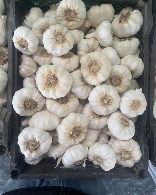 CONSISTENT SUPPLY HIGH QUALITY FRESH GARLIC WHOLE BULBS 6.5cm DIAMETER 10Kg MESH BAGS RICH FLAVOR - Image 4