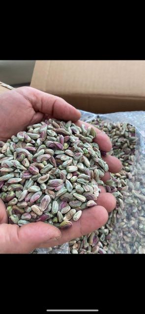 Pistachio in Shell and Kernel Product Type Nuts Flavor Mildly Sweet Processing Type Raw, Roasted, Kernel , In Shell Type Fandoghi, Kale Guchi, Badami, Akbari, Ahmed Aghaee - Image 6