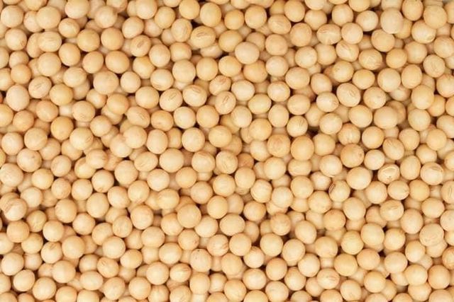 High Quality Premium Natural and Non- GMO Yellow Soybean Seeds Brazil supplier high quality good prices non - Image 2