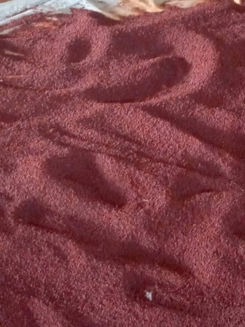 Annatto - Image 1