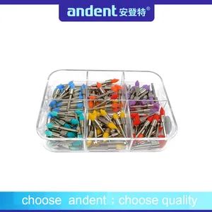 Premium Quality Colorful Teeth Polishing Prophy Brushes Sample Free Origin China Model NO. PB02 Material Nylon Materials - Image 3