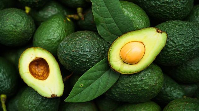 Fresh Avocado / Hass Avocado/Fuerte Avocado Fruit - Image 1