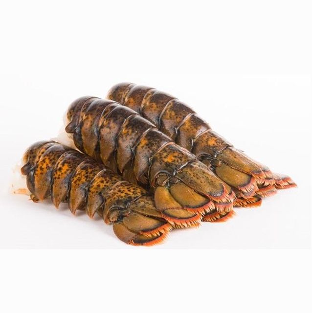 Frozen Lobster Frozen Lobster Tails Fresh Live Lobsters Cut Other Fat Content Low Preservatives No Meat Yield 85–90%% Texture Firm, Juicy - Image 3