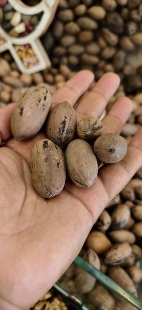 Pecan Nut - Image 1