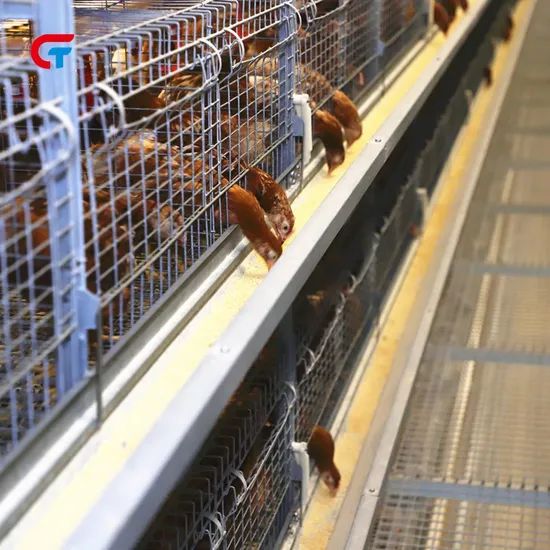 Chicken Multi Layer Automatic Manure Cleaning Feeding Poultry Farm Cage - Image 6