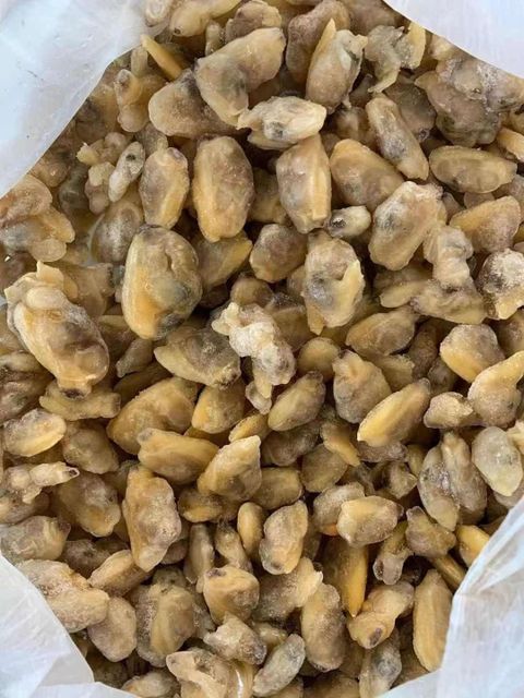 Frozen Clams Without Shell Frozen Short Neck Clam Meat Shelf Life / Style FROZEN Packaging Bag Model Number / Type - Image 4