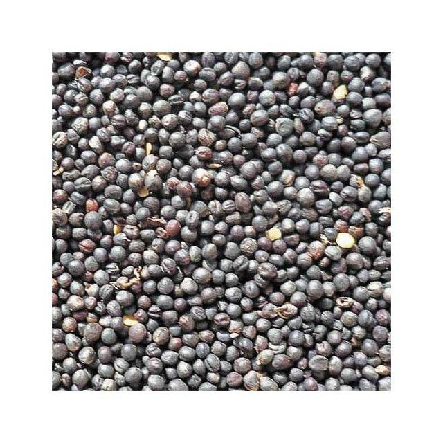 Affordable rapeseed wholesale ideal for agriculture and oil processing - Image 3