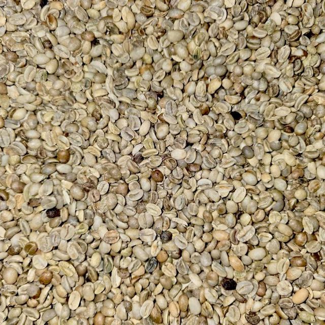 VIETNAMESE ARABICA GREEN BEANS COFFEE FULL WASHED FOR BULK, EXPORT QUALITY – product photo 4, product detail gallery