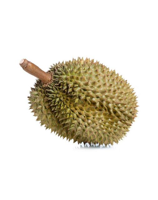 HIGH QUALITY FROZEN DURIAN MONTHONG THE GREATEST TASTE AND PREMIUM QUALITY - Image 5