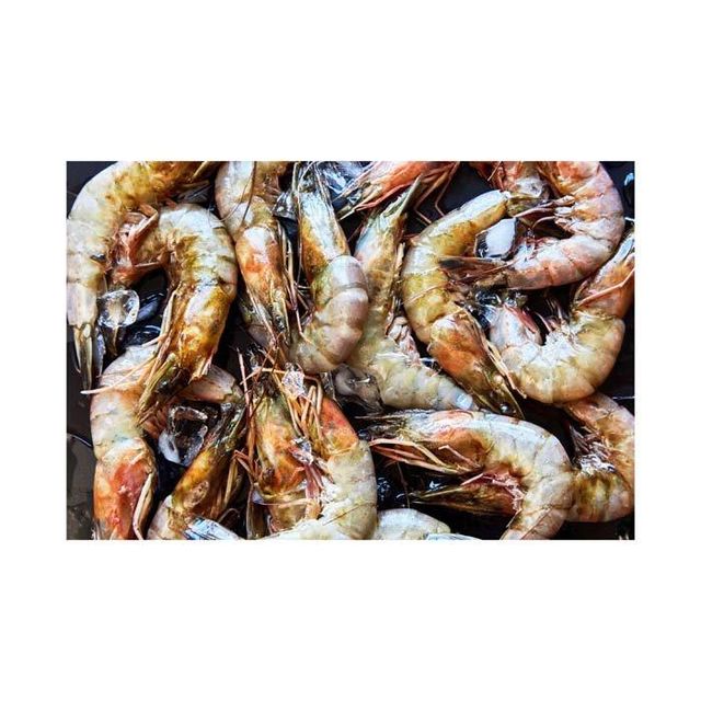 Factory Price Frozen Shrimps Ready For Wholesale Distribution And Export - Image 3