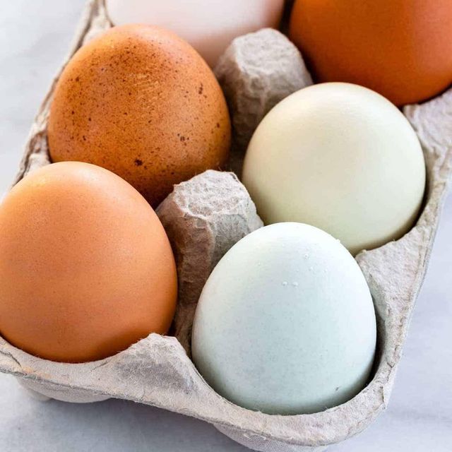 Organic Fresh Table Eggs Farm Fresh Premium Table Eggs Packed With Nutrients And Natural Goodness For Baking - Image 2