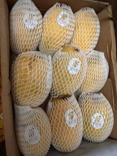 🥭 Premium Pakistani Mango | Fresh Sweet Mango | Grade A Quality | Farm Fresh | Wholesale Supplier | Global Export - Image 6