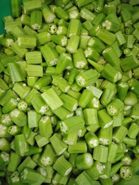 OKRA (GOMBO) – product photo 3, product detail gallery