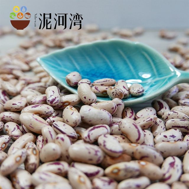 New Crop LSKB Long Shape Organic Dried Pinto Light Speckled Kidney Beans - Image 4