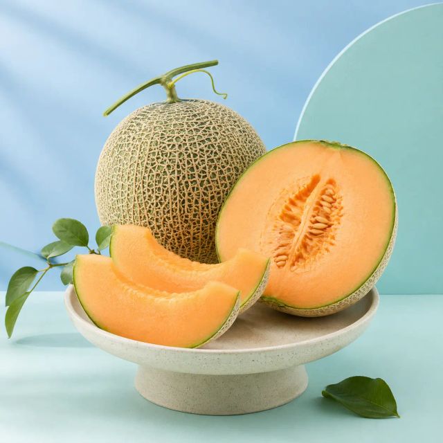 Melon Aroma Fresh Organic Yes Form Whole Fruit Origin Indonesia Type Fresh Melon Brix Level 10–14%% Water Content High Technique Handpicked - Image 4
