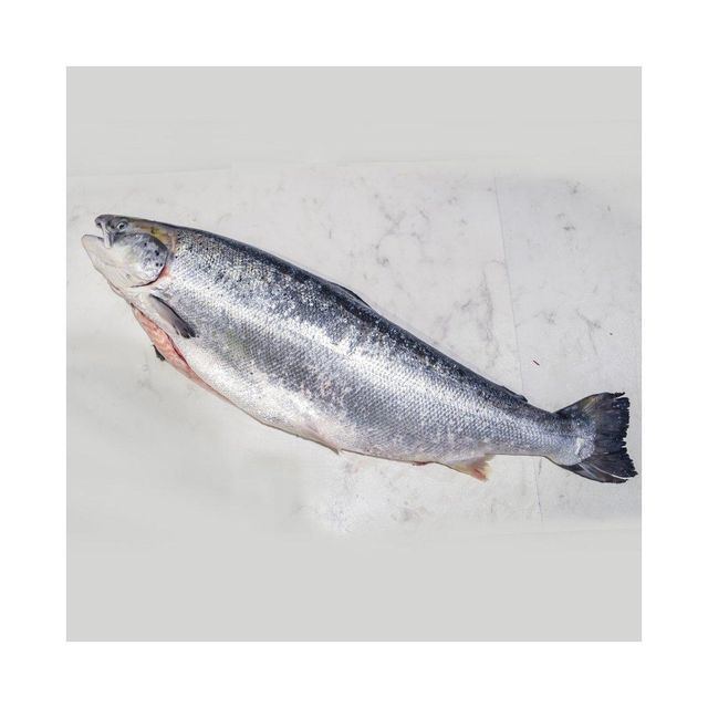 frozen salmon belly for sale / V-shape Gutted Salmon Fish Head, Frozen Salmon Fish ,Frozen King Salmon Fish. - Image 4