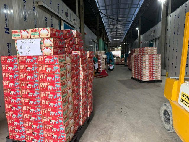 Frozen chilli (Stemless) Grade A Form Frozen Stem Status Stemless Place of Origin Vietnam Shelf Life 12-16 months Packaging Details Carton - Image 5