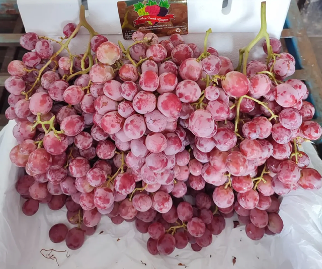 Enjoy Naturally Sweet Fresh Red Grapes |Carefully Cultivated Grapes In High Quality Vineyards 5Kg For Sale - Image 2