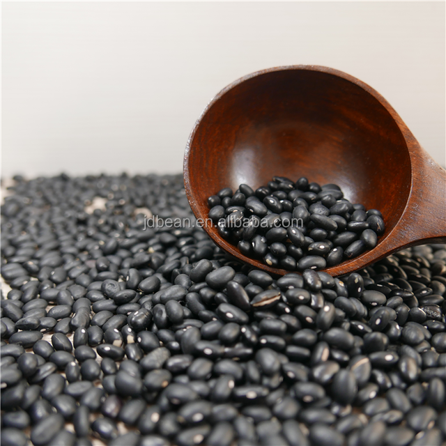 Bulk Price Dried Bean Gallo Pinto Black Kidney Beans Casado Black Beans - Image 3