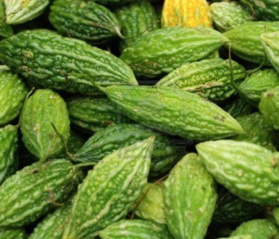 Bitter Gourd - Image 4