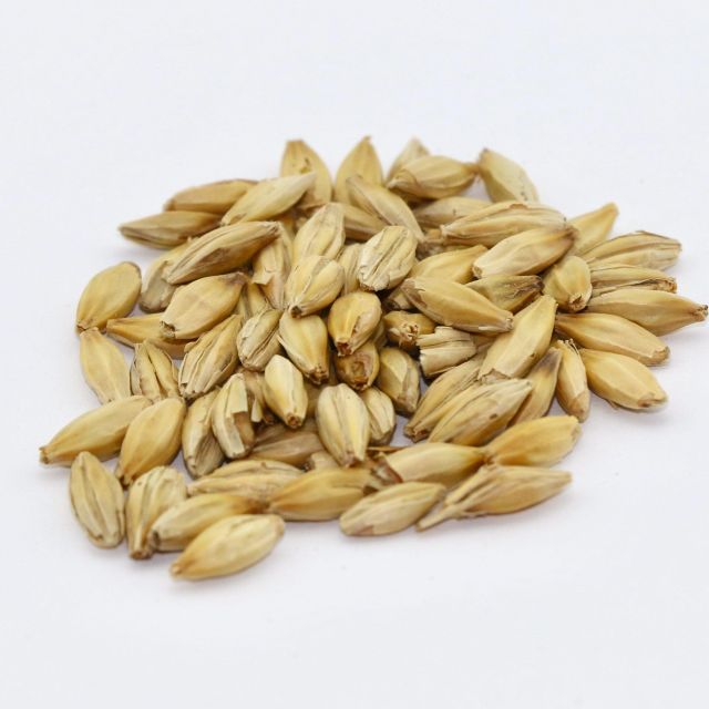 Export Grade Malted Barley Bulk Sale With Fast Delivery Service - Image 3