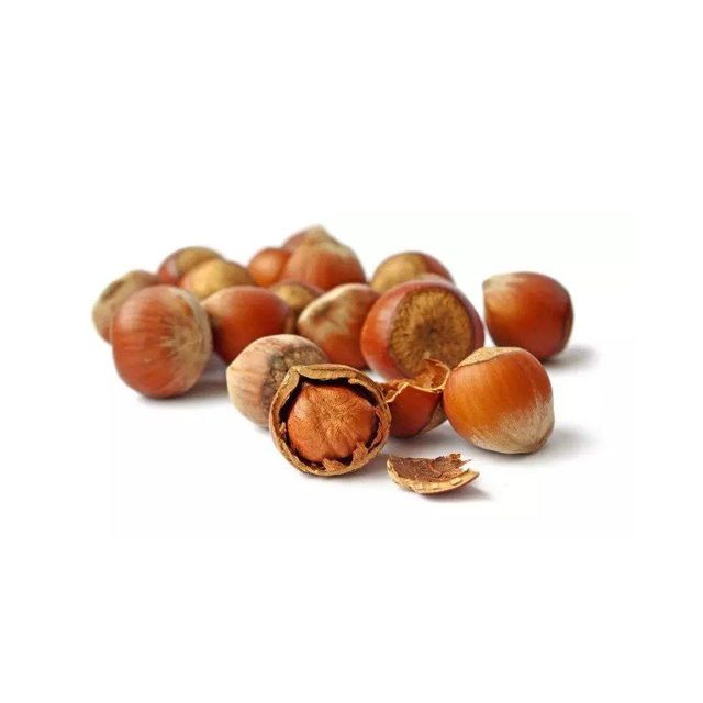 Top Quality Raw Dried /Hazel Nuts Hazelnuts At Wholesale - Image 4