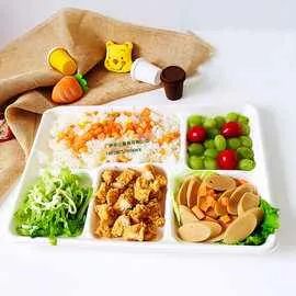 Food Grade Popular 12.5'' 5 Compartment Sugarcane Tray Disposable Bagasse Tableware - Image 1