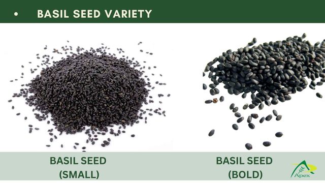 Basil seed, Basil Seeds , Raw Basil Seeds , Basil Seed bulk supplier from india, Basil Seed - Image 3