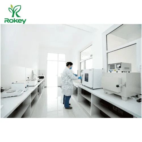Premium Herbal Extract for Wellness Support Bupleurum Chinense Extract, Bupleurum Root Extract - Image 5