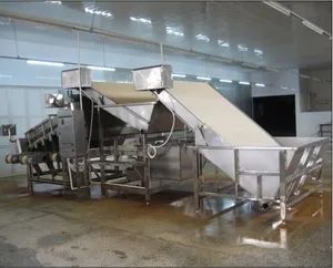 Automatic Industrial 18 Roller Fast Shrimp Grader Multifunction Size Fish Prawn Sorting Grading Machine - Image 2