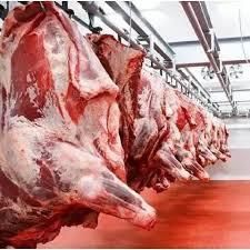 Fresh Frozen boneless Beef - Image 2